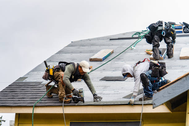 Professional Storm Damage Roof Repair technician working in Lawrenceburg, KY
